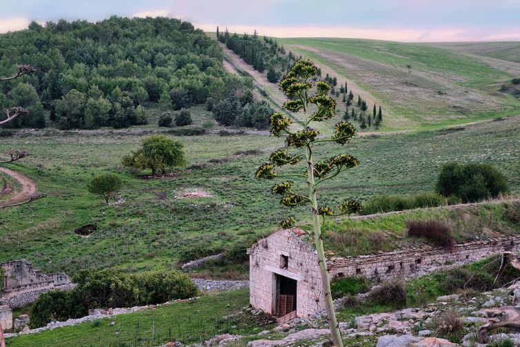 48-Masseria Pietre Tagliate