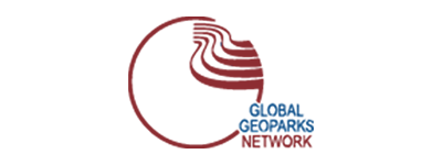 logo-global-network